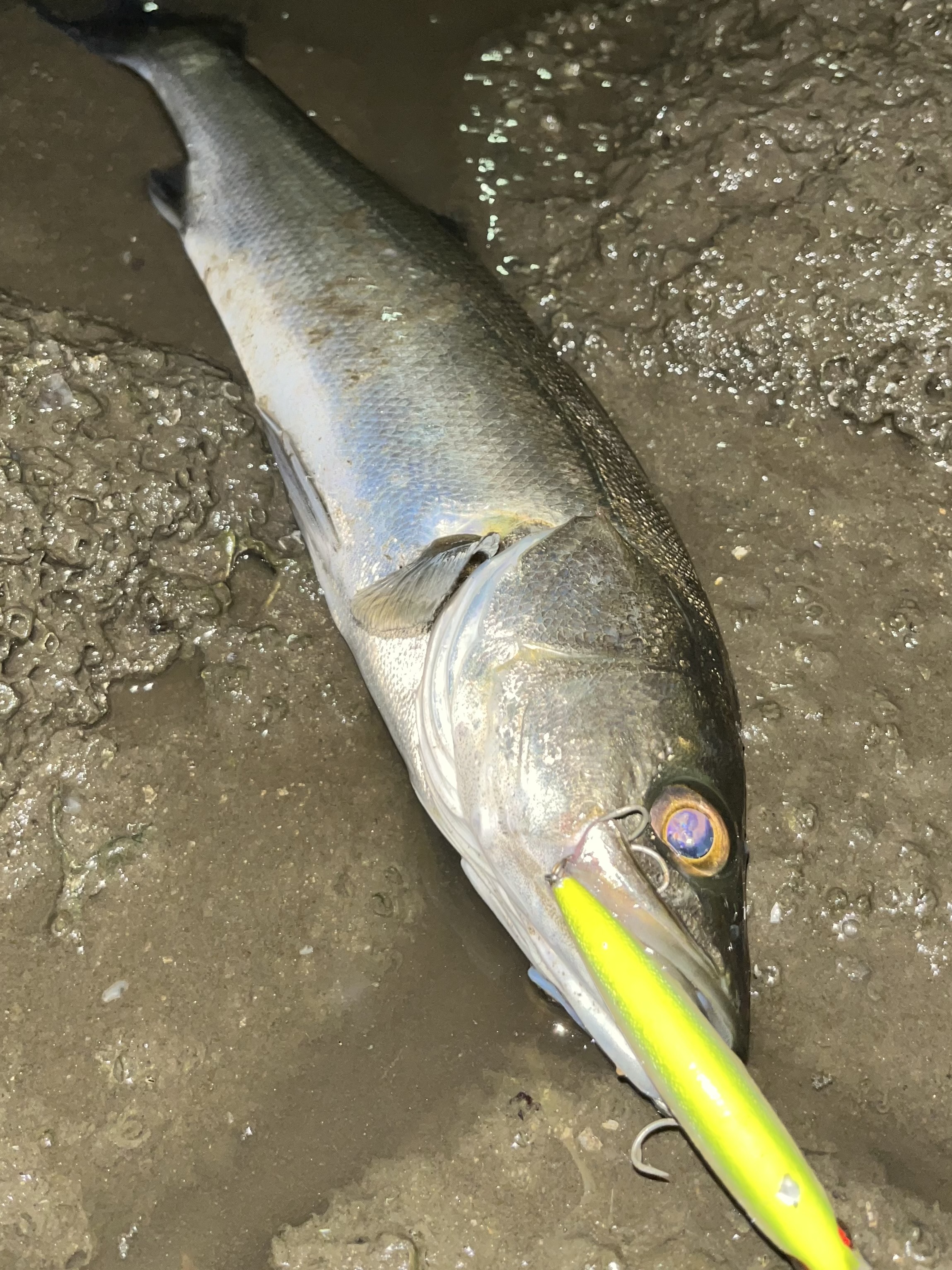 釣具