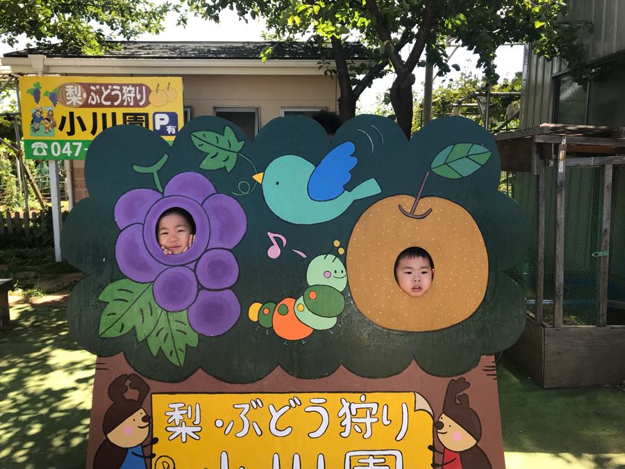 rblog-20180821013425-03.jpg