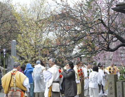 吉野16
