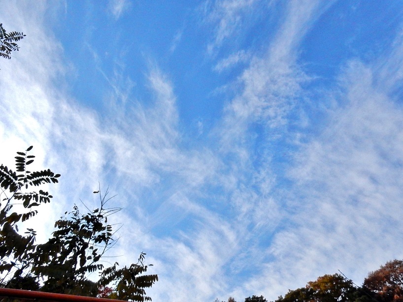 空2.JPG