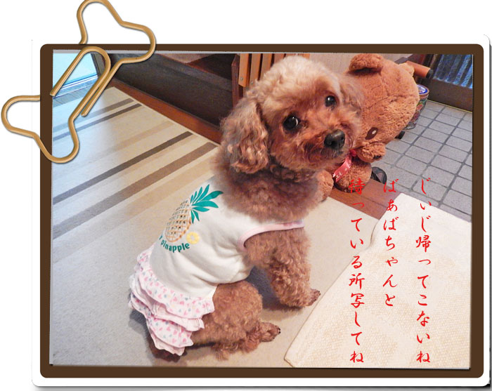こころ１７