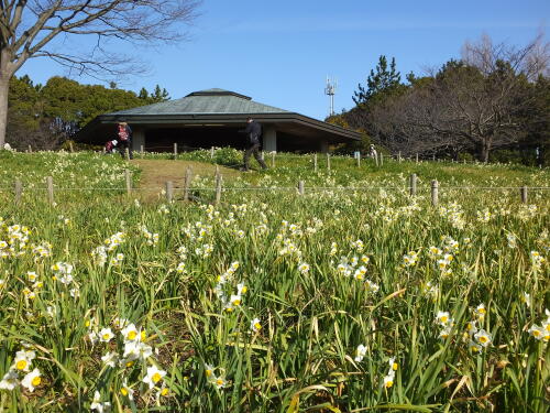 葛西臨海公園にて