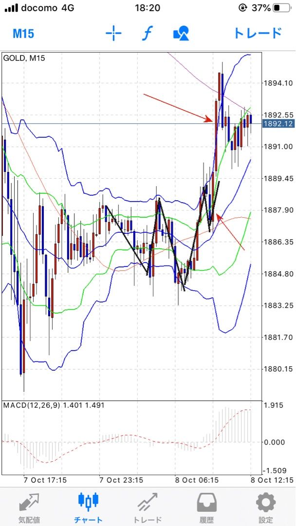 年10月09日の記事 ワフーの山あり谷ありそれ三尊 楽天ブログ