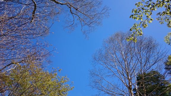 DSC_3309.JPG