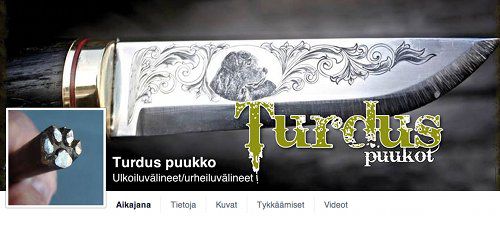 Turdus_Puukko.jpg