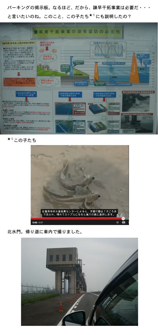 2014.05.07-5.jpg