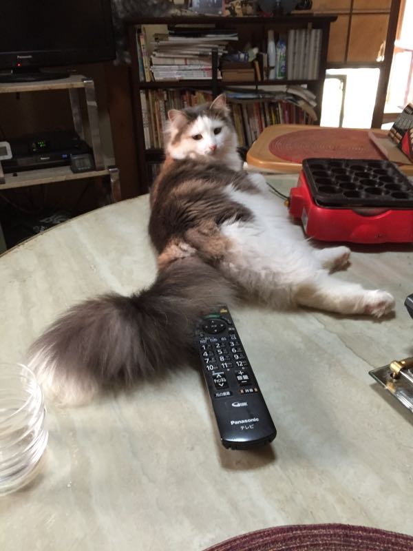 rblog-20150517142813-03.jpg