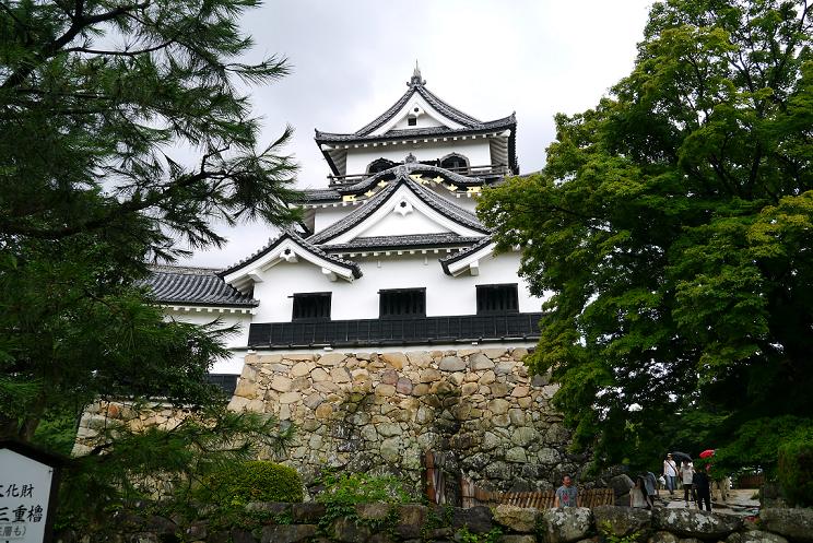 P1000728.JPG
