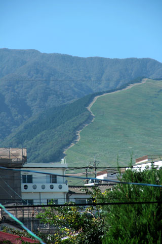 久々の晴れ　木立の影