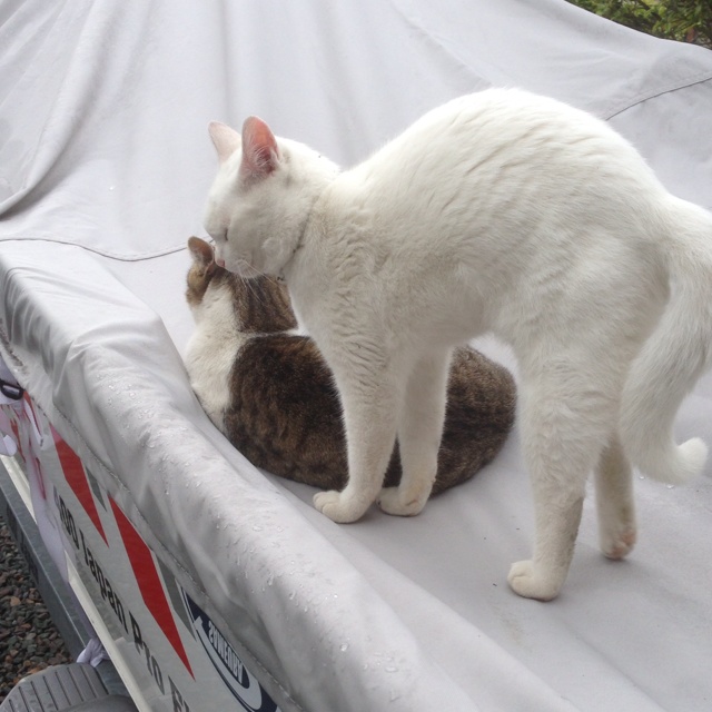 rblog-20130511192757-02.jpg