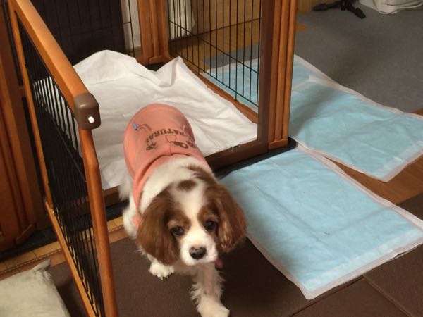 rblog-20151204093300-03.jpg