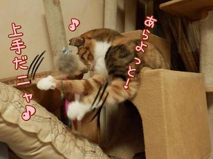 福あらよっと.JPG