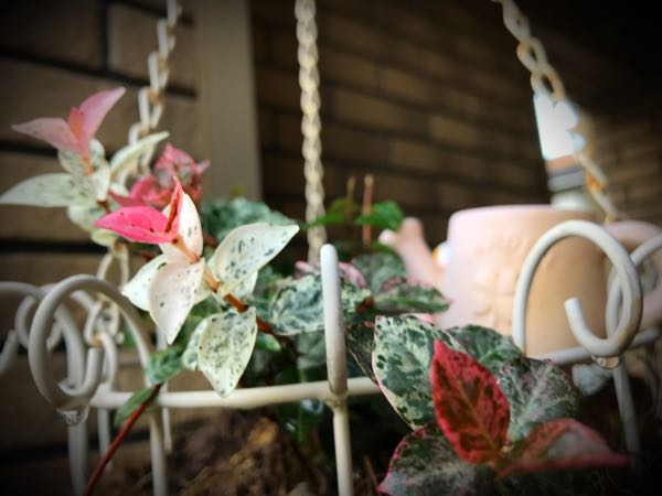 rblog-20161129162913-00.jpg