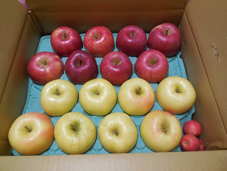 小西さんからお土産が届きました2015.10.21.JPG