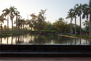 インド238.jpg