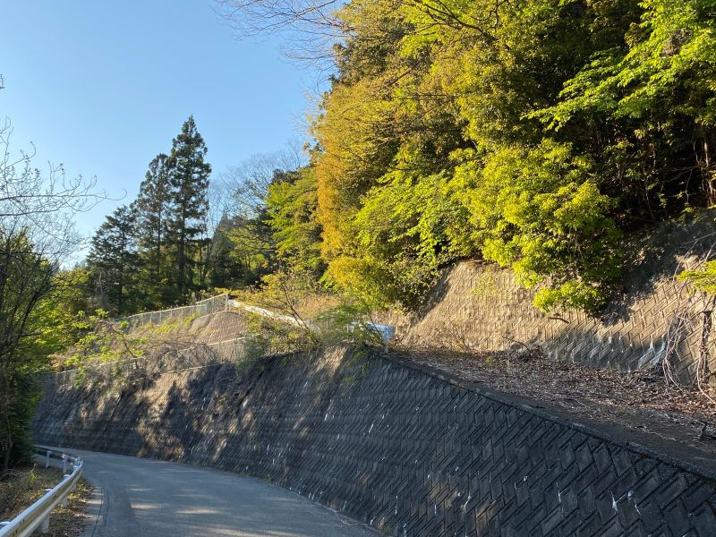 ふるさと下部（しもべ）紀行～春の杉山・和名場（わなば）・栃代（とじろ）（2） | 醍醐山と下部（しもべ）温泉 - 楽天ブログ