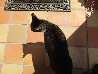 IMG_9980ss.jpg