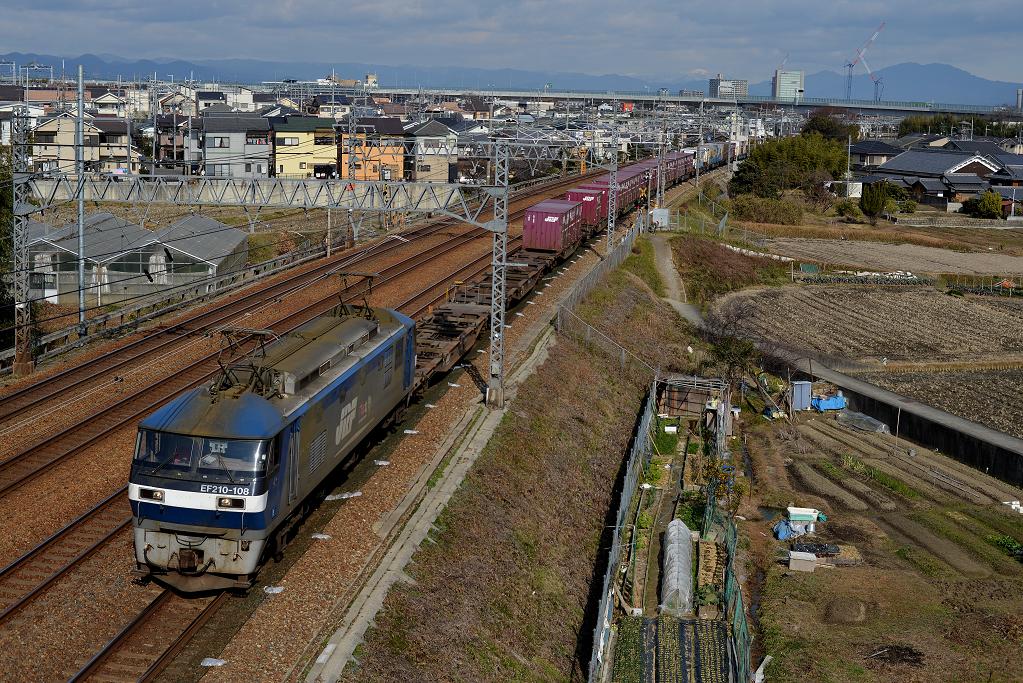 DSC_8184.JPG