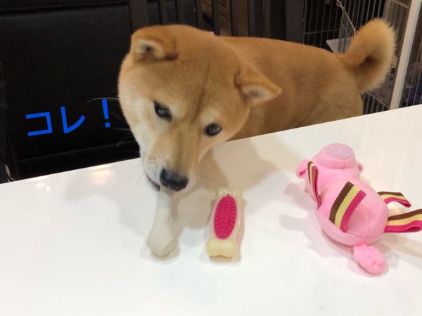 rblog-20180110114501-07.jpg
