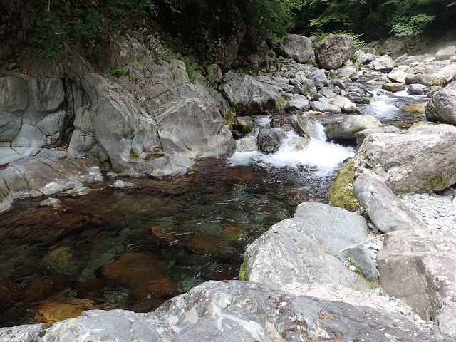 resize0010.jpg