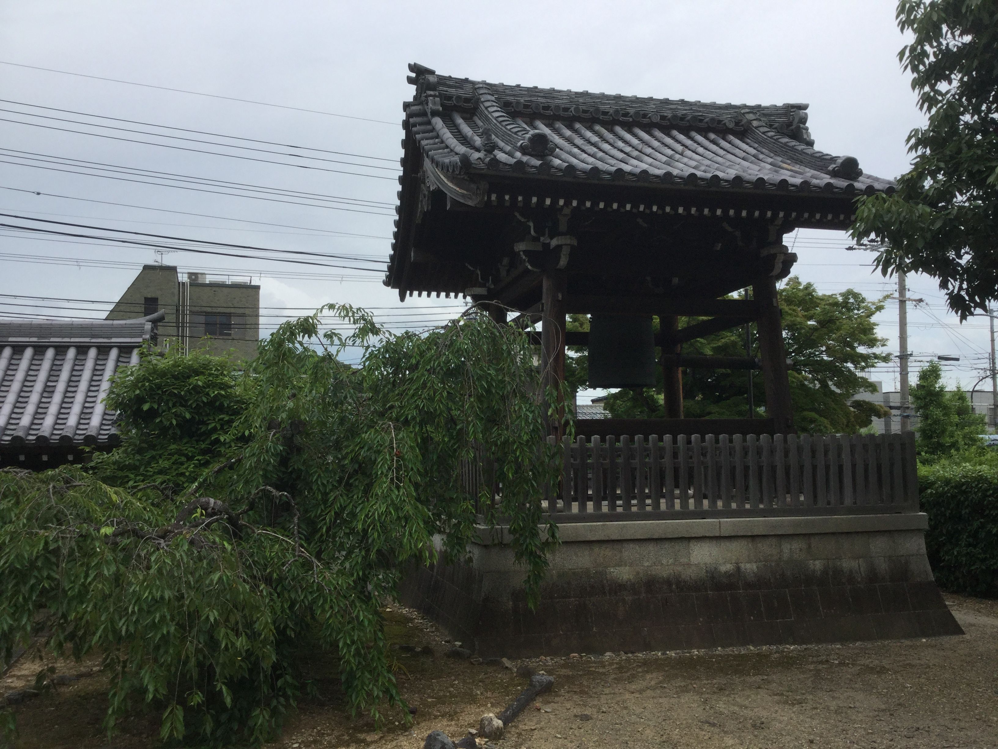 5ページ目の カテゴリ未分類 Tomisan39のブログ 楽天ブログ