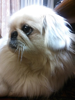 20130303-1.jpg