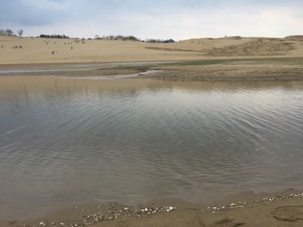 rblog-20160331045619-02.jpg