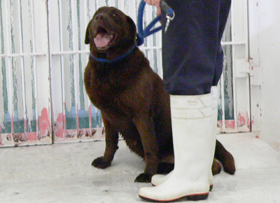 20140505r.jpg