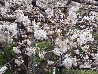 rblog-20130320183556-04.png
