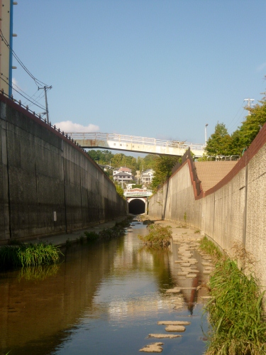 097 (375x500).jpg