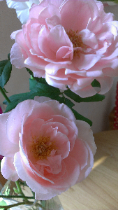 rblog-20130810091335-01.png