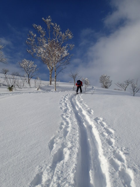 P1010013.JPG