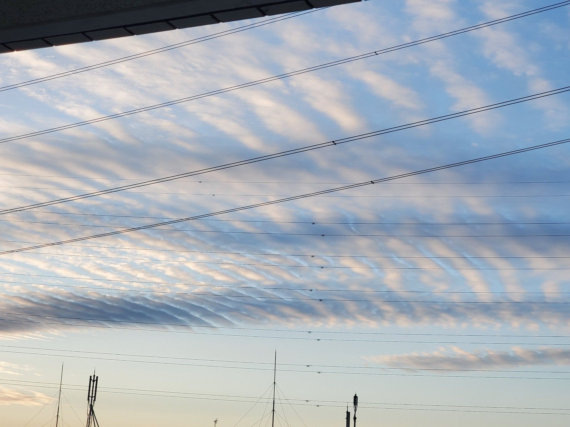 珍しい雲 野菜生活始めました 楽天ブログ