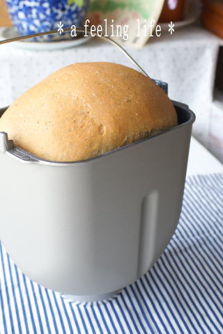image280.jpg