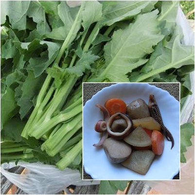 カキ菜と煮物