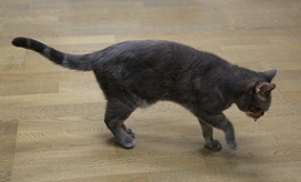 5DA_7149-25.jpg