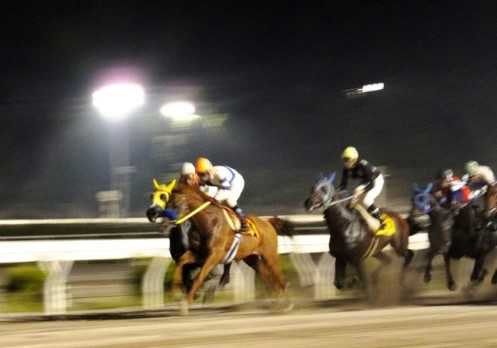 Nhk逆転人生は 高知競馬場 訪れた14年を思い出し Ilovecb セレンディピティを求めて 楽天ブログ Nhk逆転人生は 高知競馬場 訪れた14年を思い出し Ilovecb セレンディピティを求めて 楽天ブログ