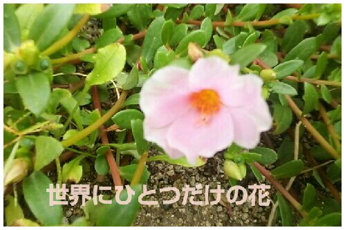 rblog-20160810204916-00.jpg