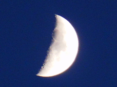 conv0150.JPG