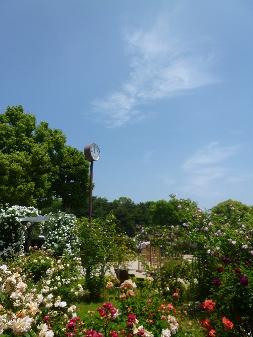 P1100705(1).JPG