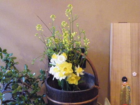 DSCF8549-450.jpg