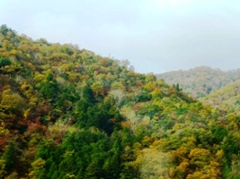 P1020775.JPG