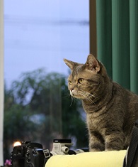 5DA_6430-21.jpg