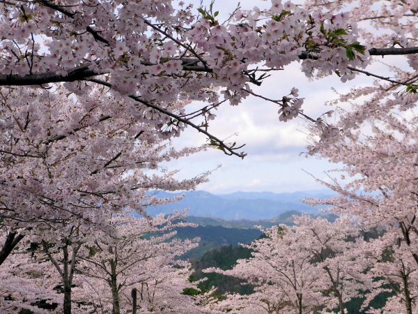 嶽山０２