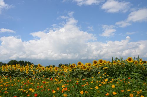 DSC_0697.JPG
