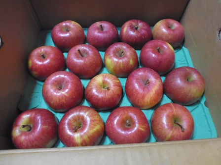 P1020135.JPG