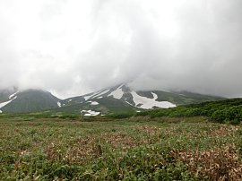 雪の鶴1.JPG