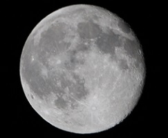 E7D_6556-14.jpg