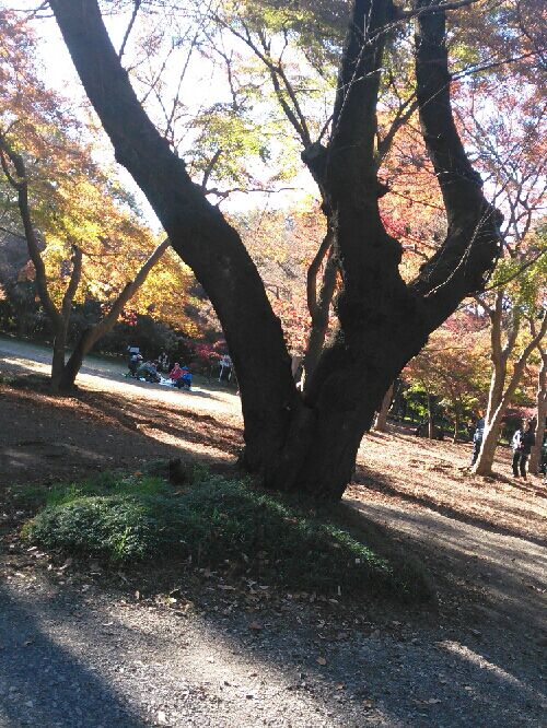 rblog-20151210212811-04.jpg