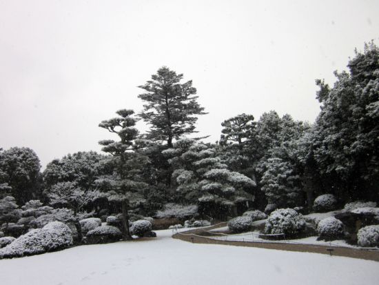 IMG_8488.JPG